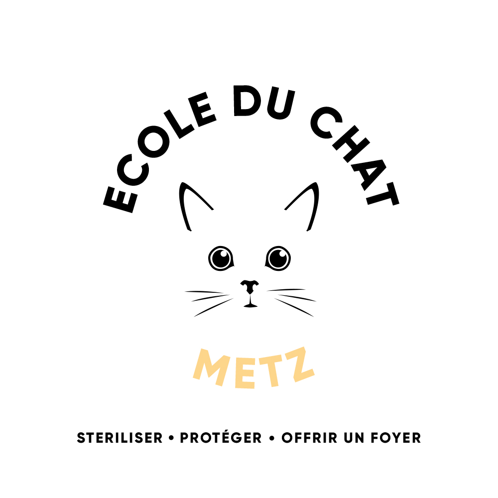 logo école du chat